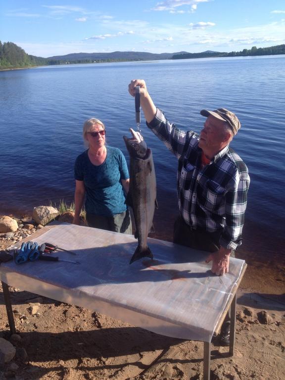 فندق Arctic Camping Finland بيللو المظهر الخارجي الصورة